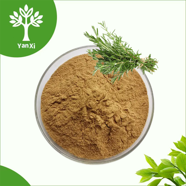 Rosemary Extract Powder Rosemary Extract Powder